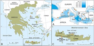 Lithistid Demosponges of Deep-Water Origin in Marine Caves of the North-Eastern Mediterranean Sea